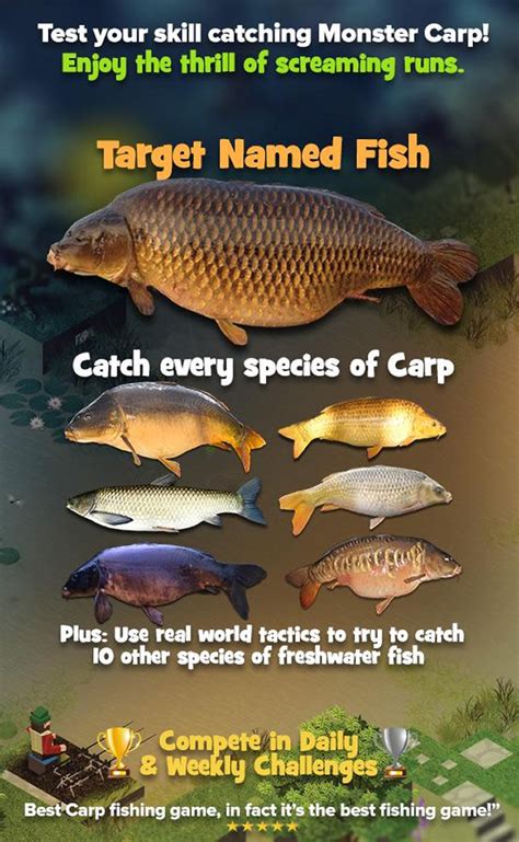 Free Carp Fishing Game.